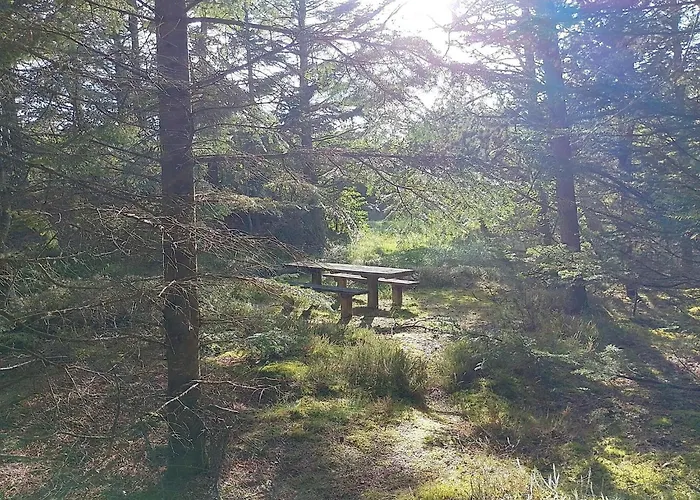 8 Person In Frostrup-by Traum Lild Strand