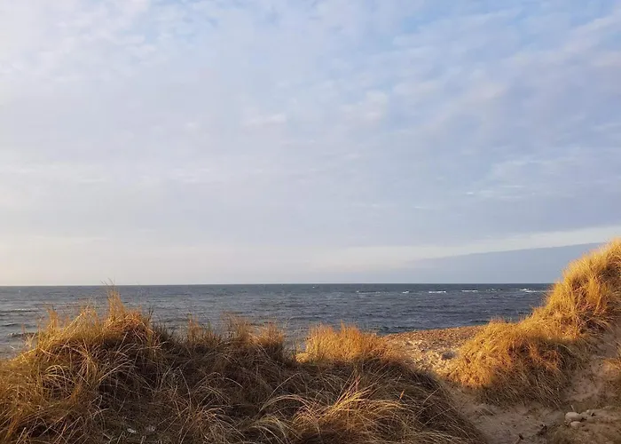 Ferienhaus 8 Person In Frostrup-by Traum Lild Strand